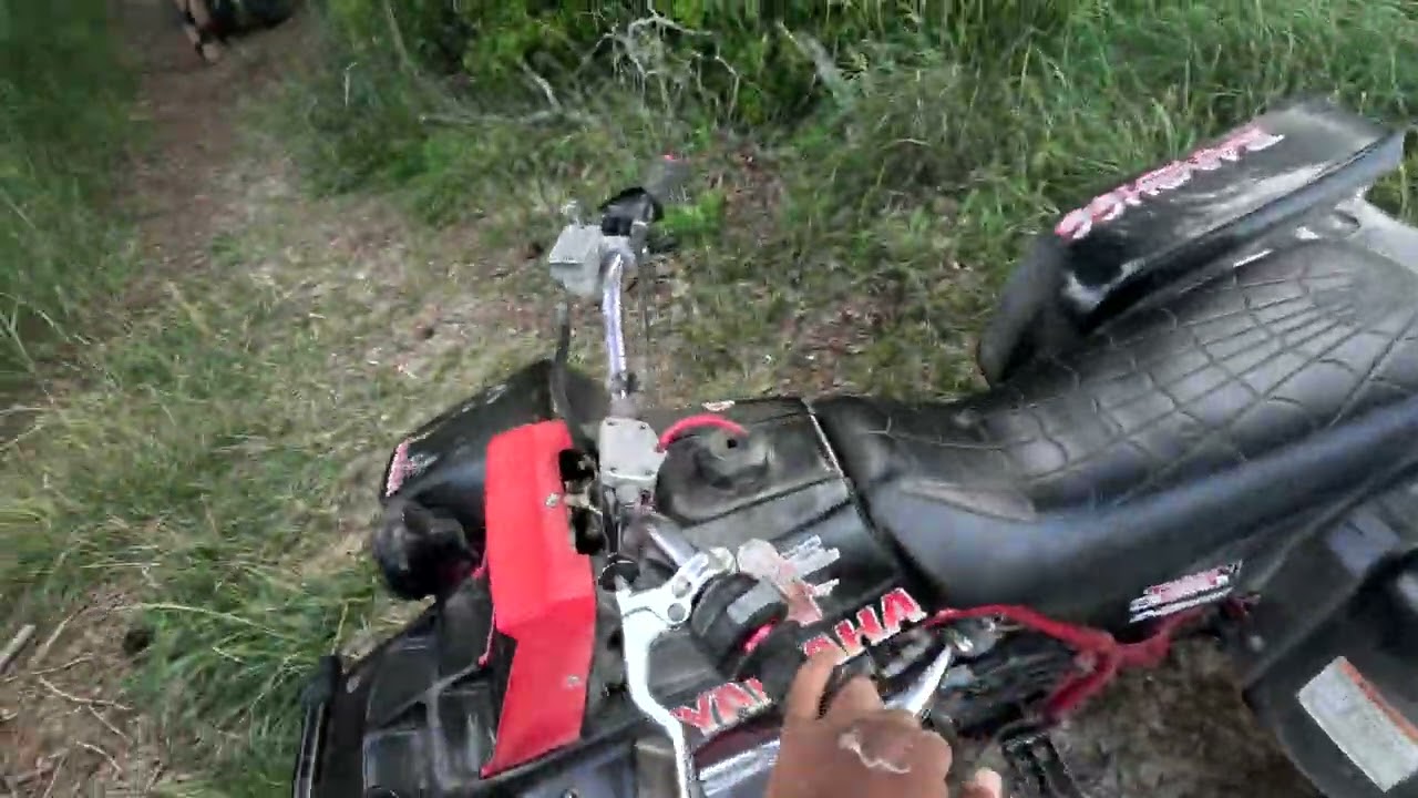 Banshee 421 Cub Trail Ride #banshee350 #banshees #bansheebikes
