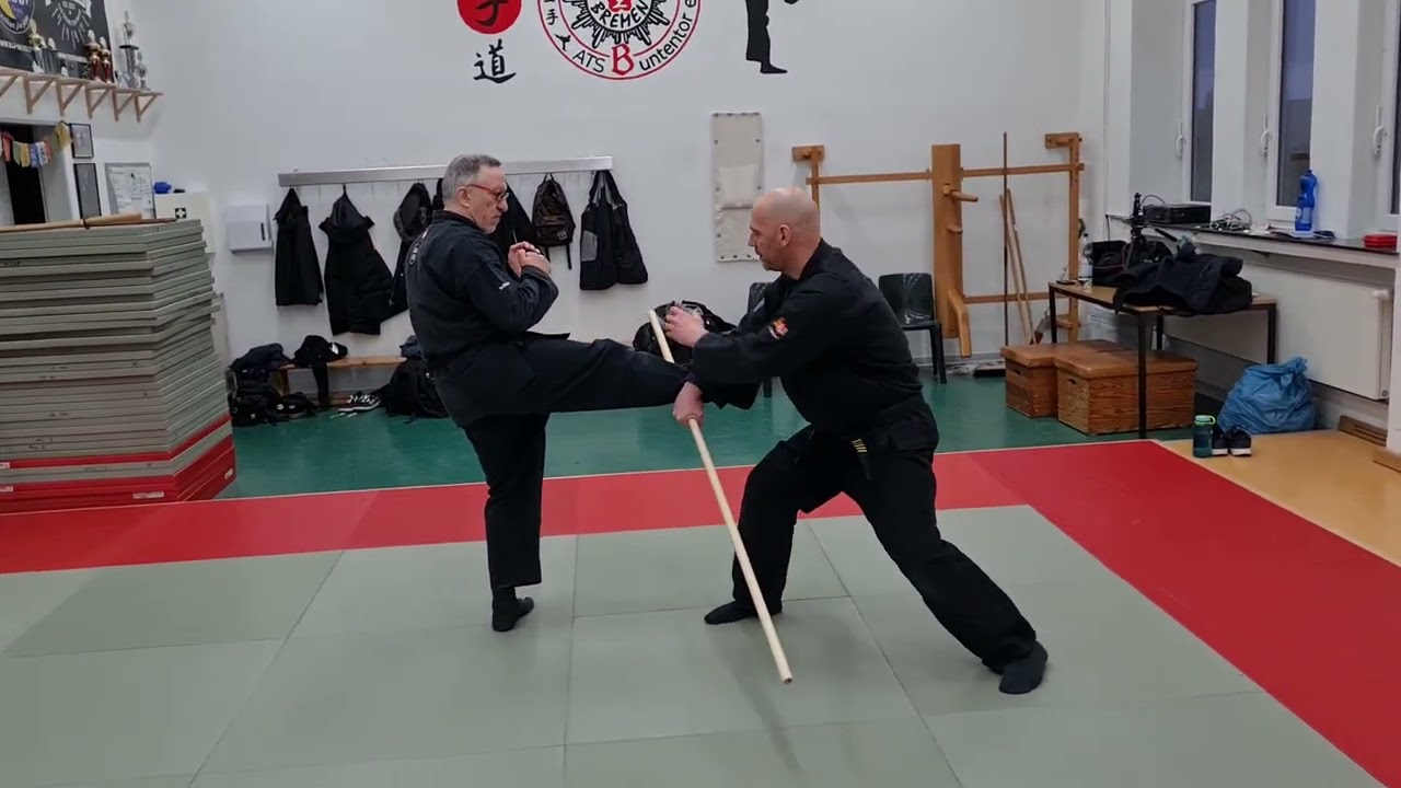 Ninjutsu Europa Federation Seminar Bremen