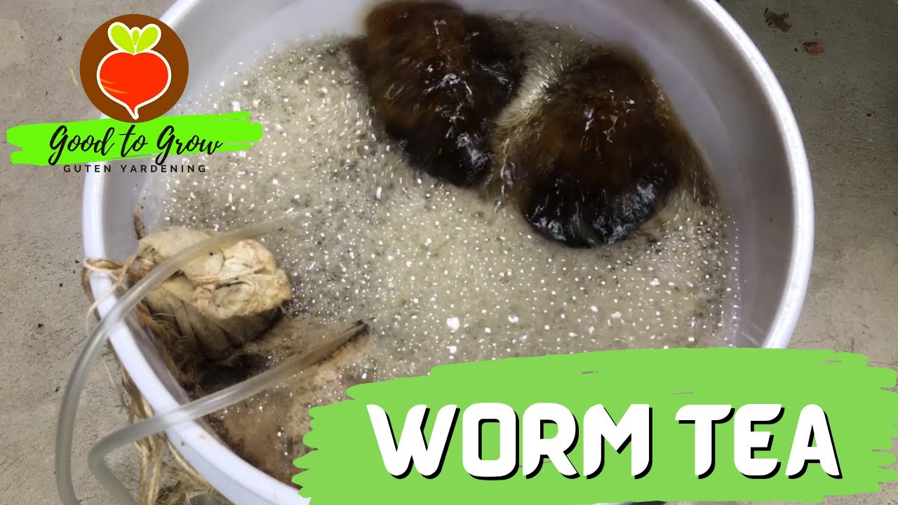 Easy to Make Aerated Worm Compost Tea | Worm Tea Recipe | Guten Yardening