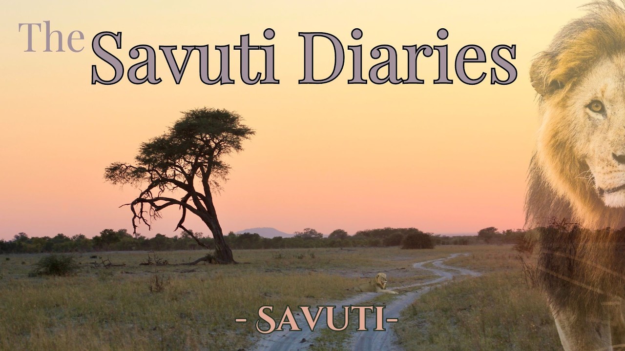 Exploring Savuti Botswana,