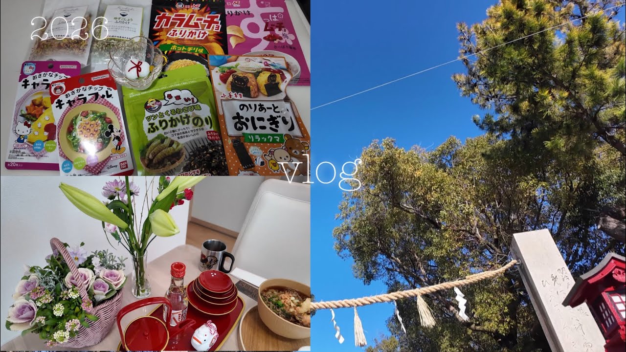 【vlog】年末年始🎍日常vlog📔あけましておめでとう⛩