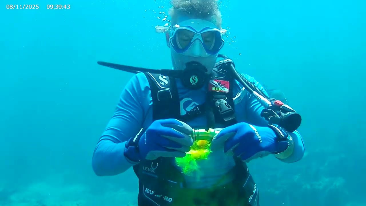 Orion Sea Dye marker release scuba 50’ underwater 