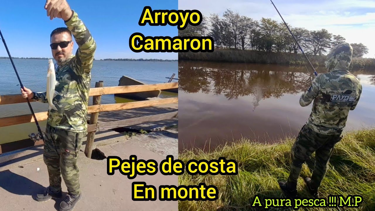 Arroyo Camarón y laguna de monte // Pesca de  pejerrey de costa