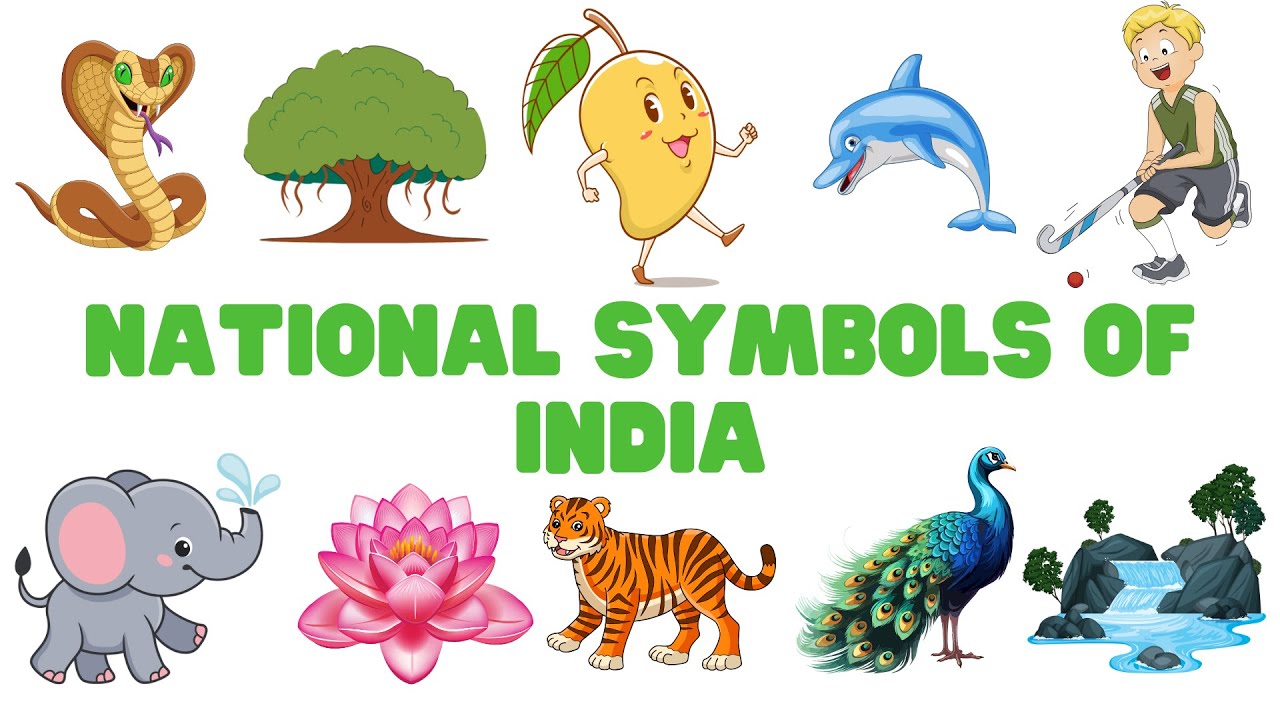 National symbols of India : Pride of India 🇮🇳 | Indian National symbols | #nationalsymbols