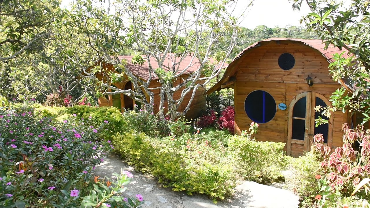 La Reserva Natural - Victoria Caldas