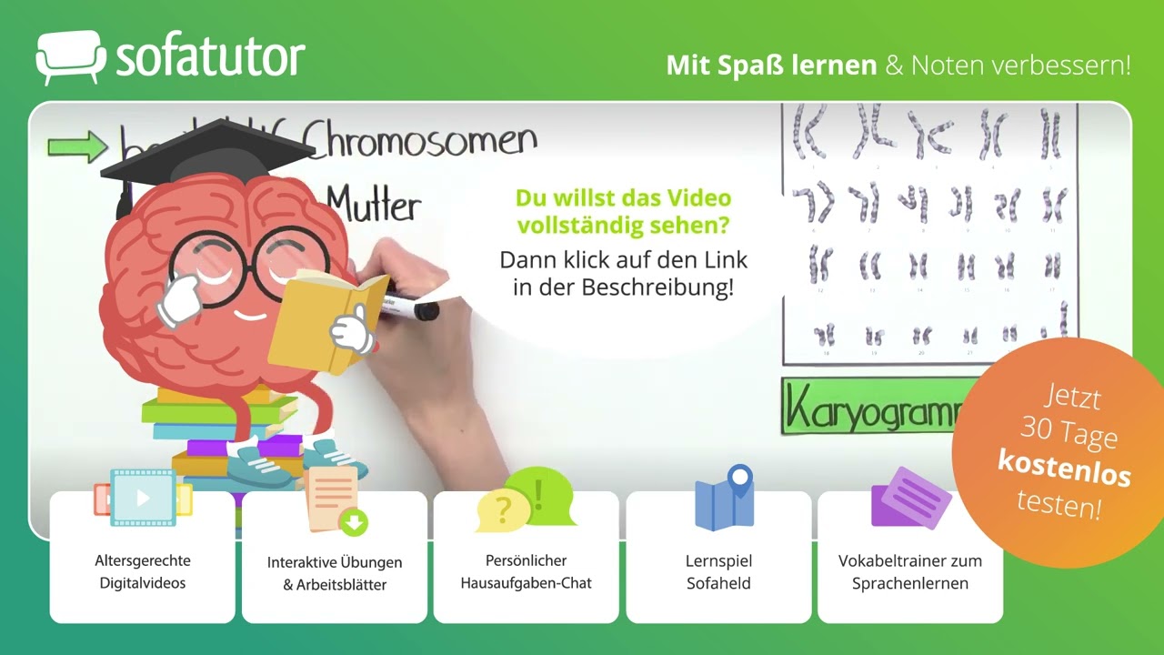 Chromosomen – Bau und Funktion einfach erklärt – Biologie 9. - 13. Klasse