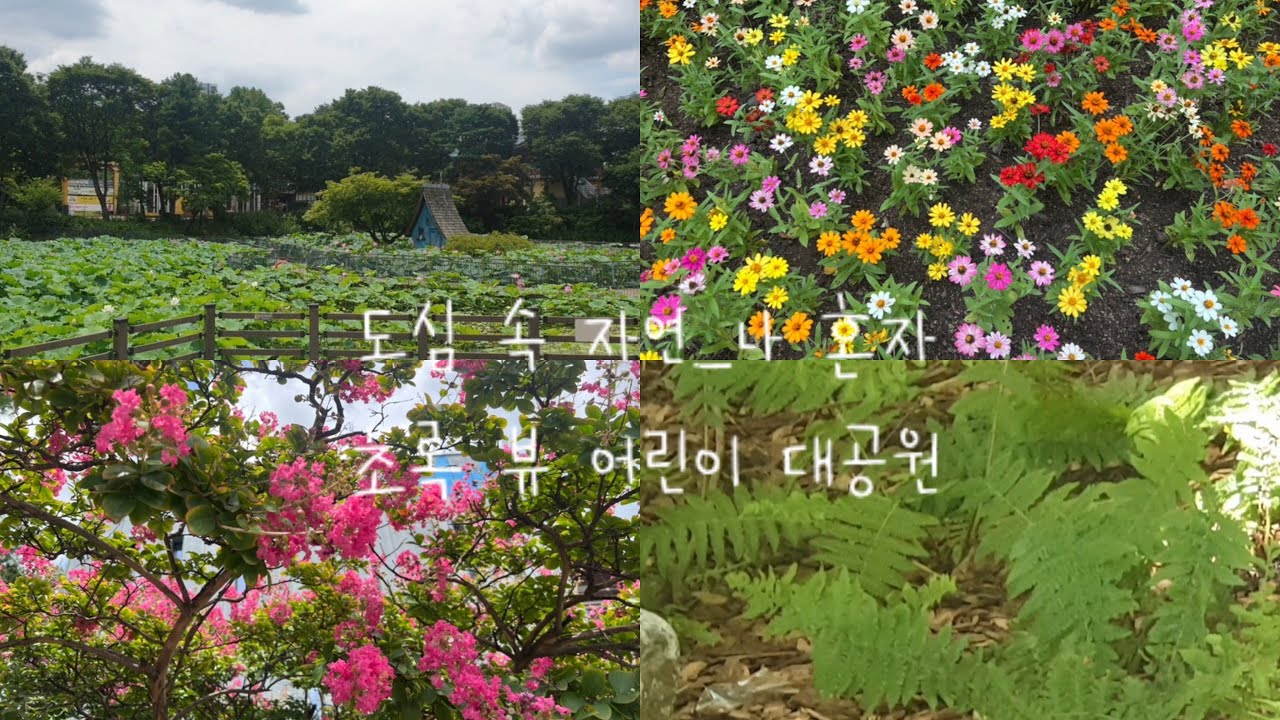 폭염🌞38도에 혼자 걷는 여행 ♨️9n년생 사람의 추억의 장소 어린이대공원 걷기🚶‍♂️