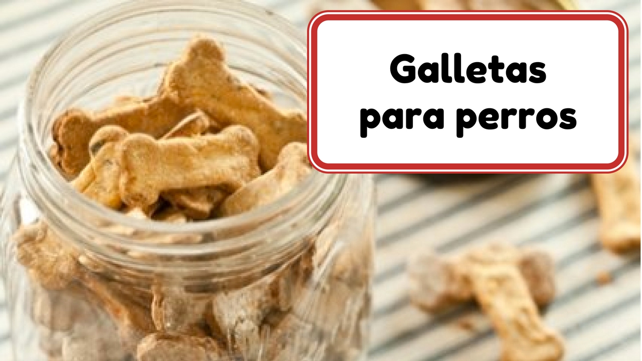 Snacks para perros con microondas / SNACKS DOGS