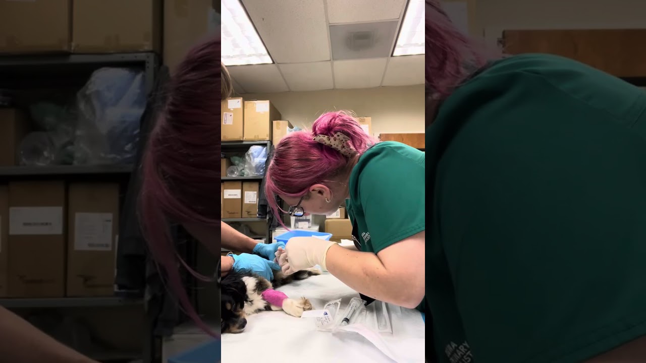 Skill 15 Externship 2