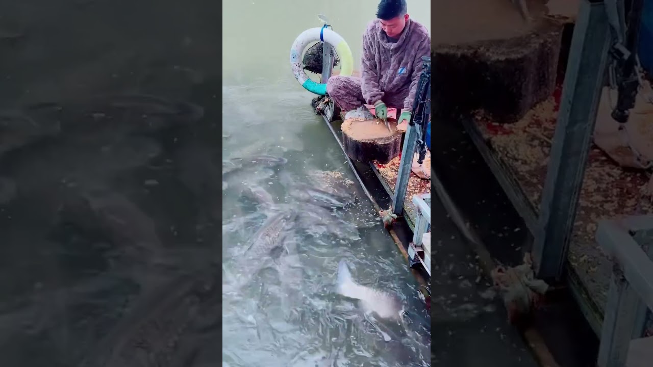 Chinese street food, street snacks 2026/01/29 09:58:32