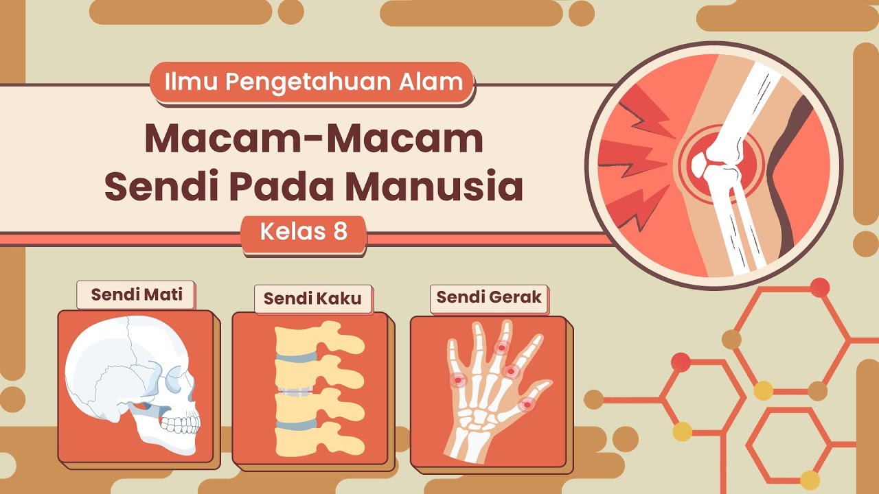 Macam-Macam Sendi Pada Manusia (Sendi Mati, Sendi Kaku, Sendi Gerak) IPA Kelas 8 (Bio Sains)