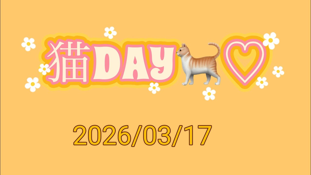 【vol.193】猫DAY🐈♡#猫 #動物 #可愛い #癒し #고양이#māo#gatto #Katze#モミモミ#ふみふみ#楽天スーパーセール #グミ 