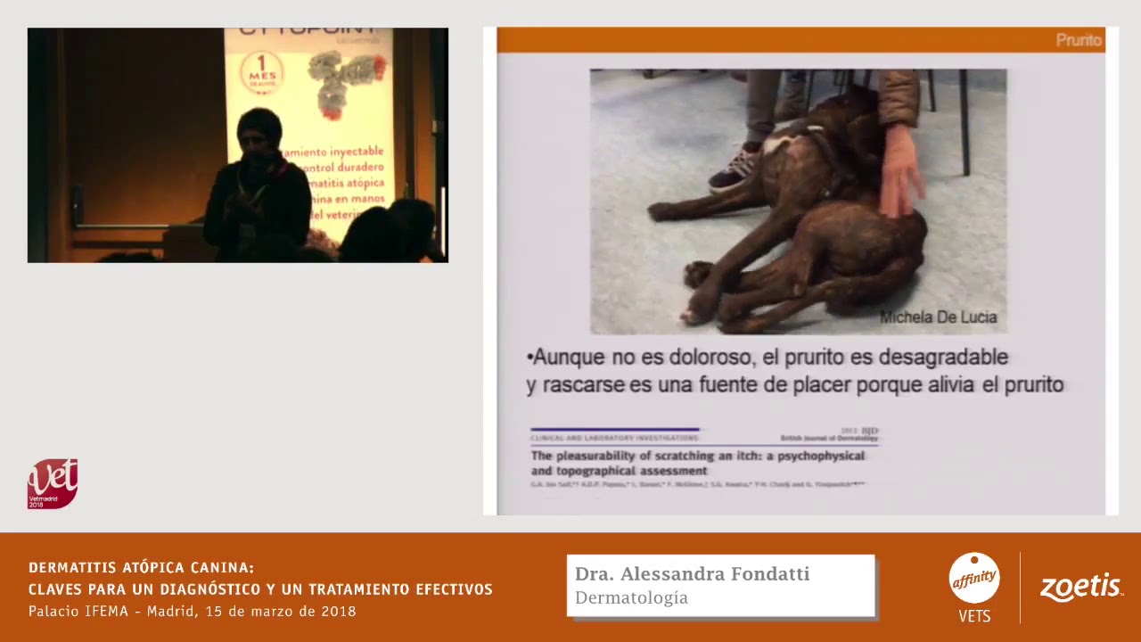 Dermatitis atópica canina: claves para un diagnóstico y un tratamiento efectivos