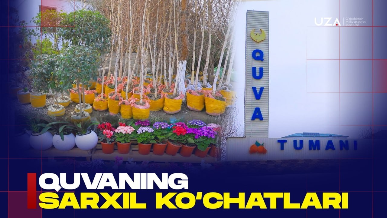 Quvaning sarxil ko‘chatlari