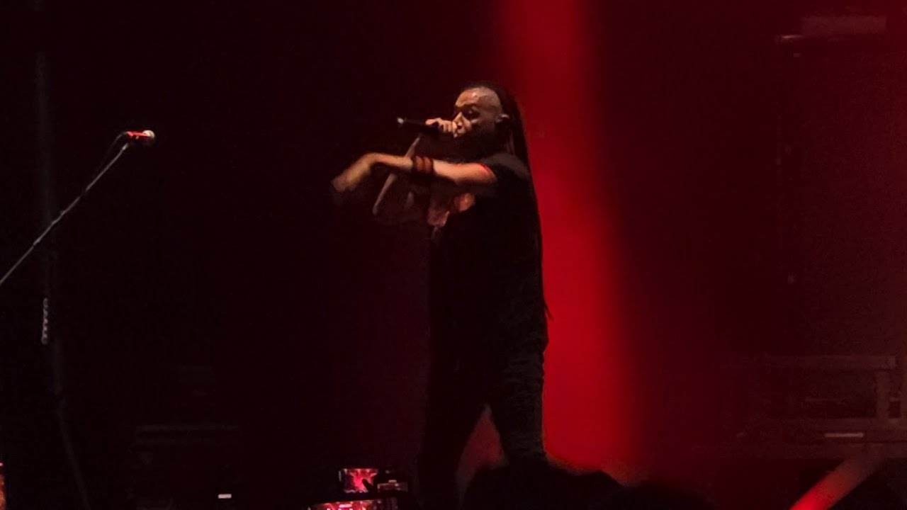 Nonpoint - “Breaking Skin” Live at Welcome to Rockville 2025