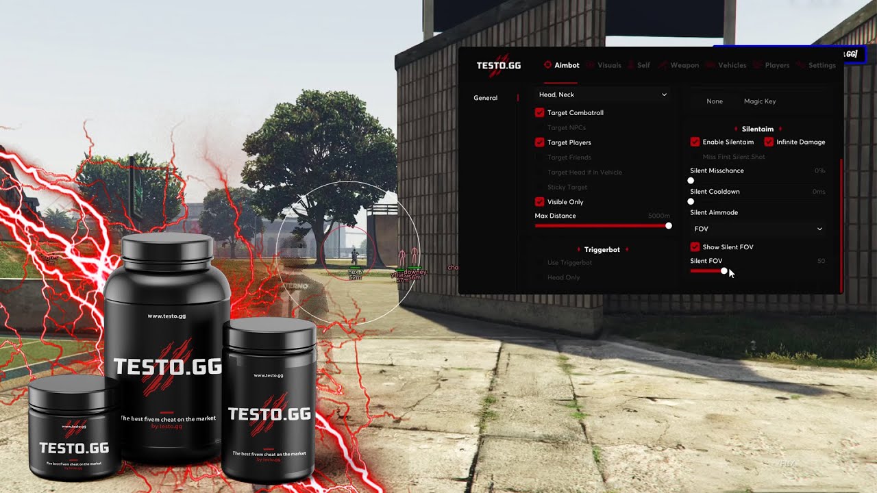 TESTO.GG New Showcase - Undetected FiveM Cheat
