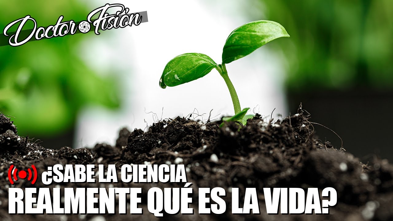 ¿Sabemos QUÉ ES REALMENTE LA VIDA? 🌱