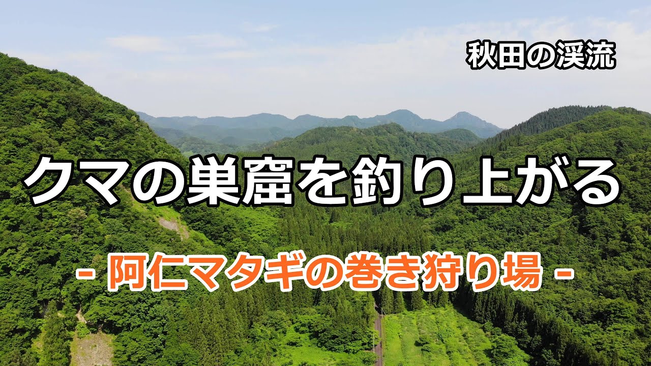 クマの巣窟を釣り上がる  /  阿仁マタギのクマの巻き狩り場  /  秋田の渓流  /  みちのく釣りの旅  ﾌﾗｲﾌｨｯｼﾝｸﾞ渓流釣り(4K) fly fishing