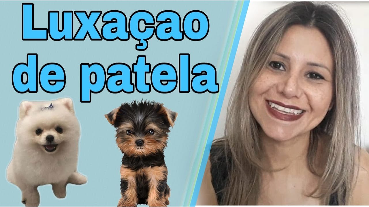 Luxação de patela em cães, tratamentos, graus e mais!