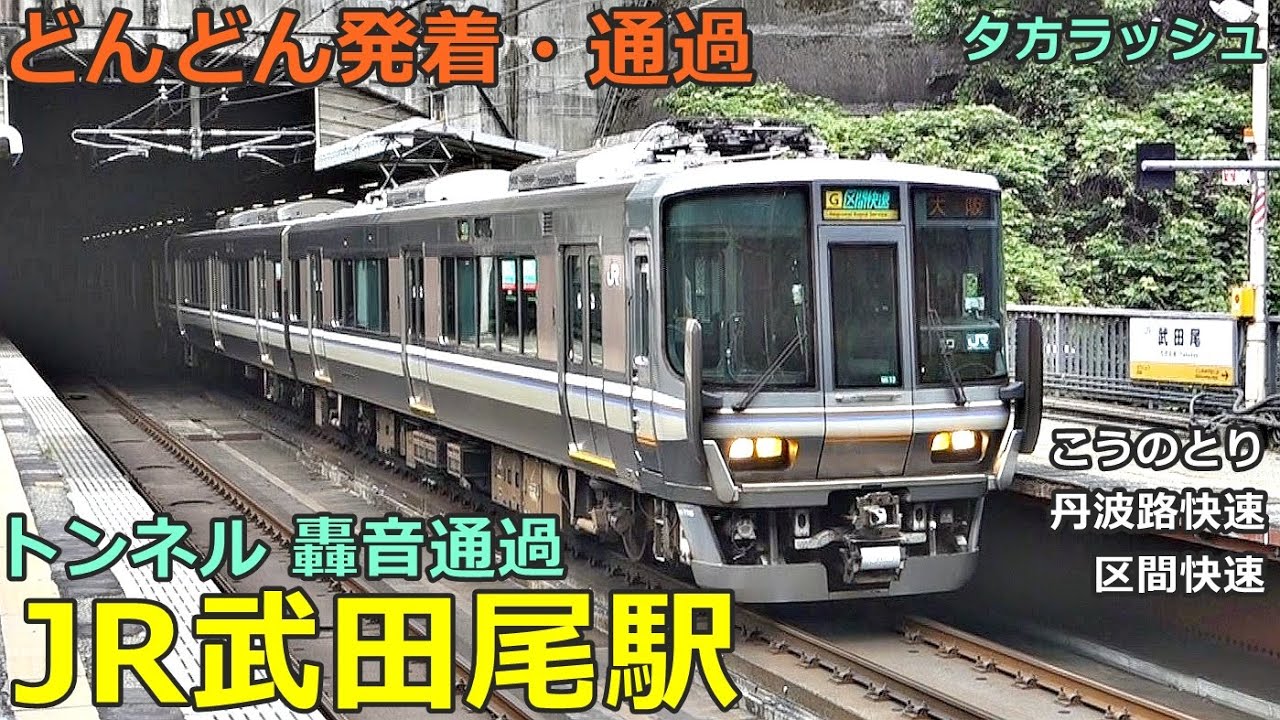 JR武田尾駅 3🚃どんどん電車が発着・通過！●トンネルの駅／特急 こうのとり、丹波路快速、快速、区間快速 等（夕方ラッシュ 宝塚線）【JR西日本】