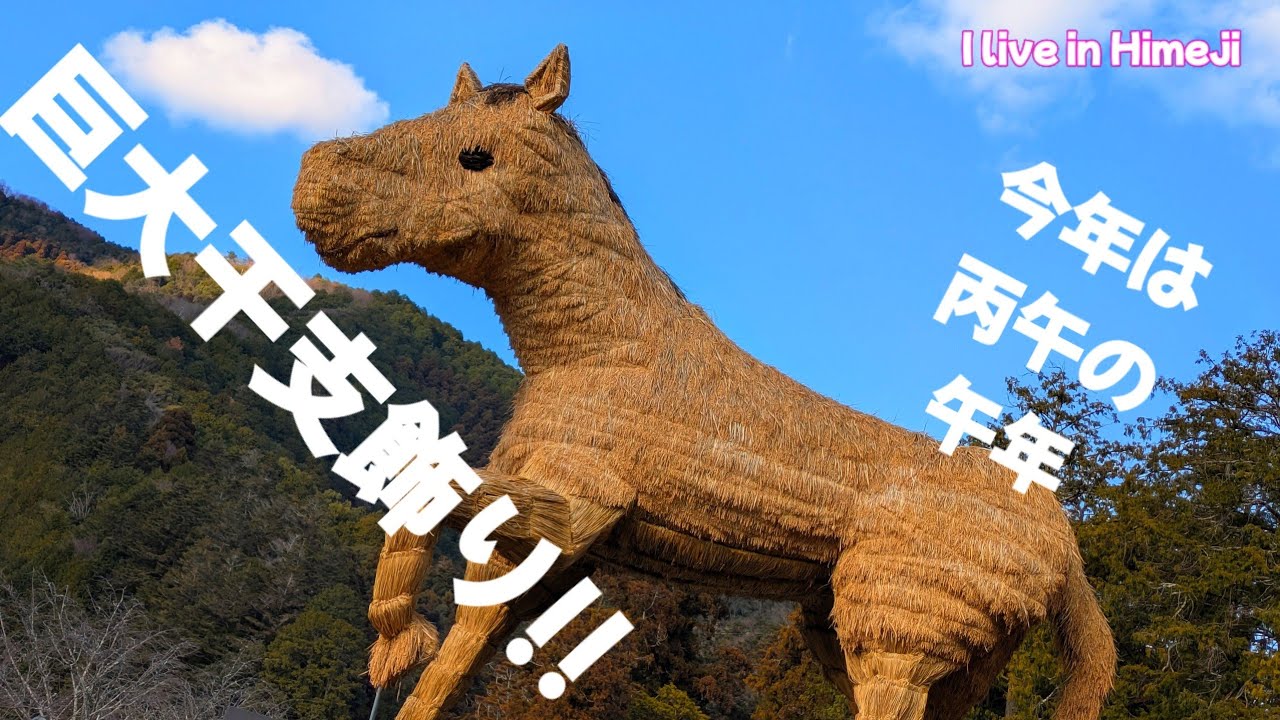 【I live in Himeji】〜今年還暦を迎える丙午の年男がお送りする、安志加茂神社〜　2026年01月07日撮影　#安志加茂神社 #干支 #丙午年 #姫路市 