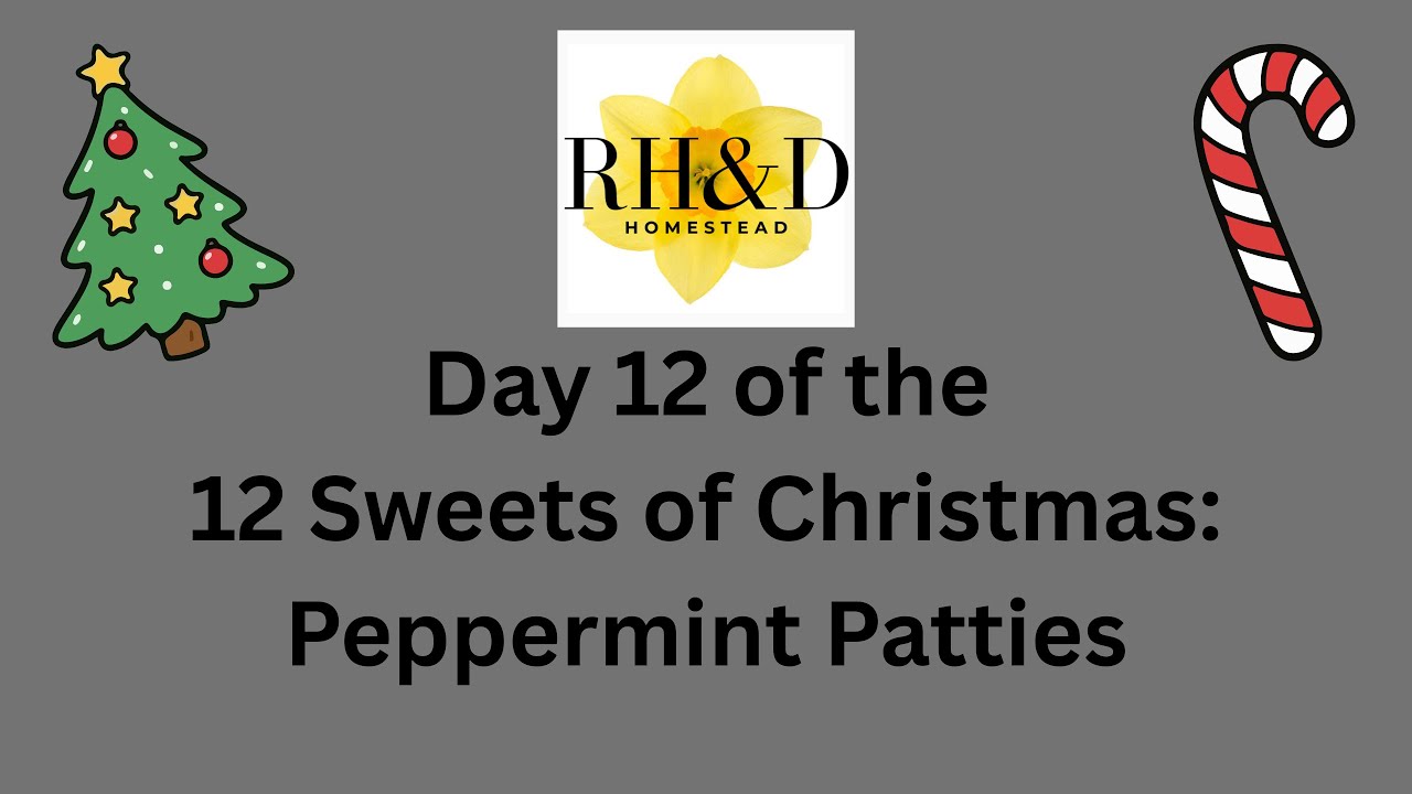 Peppermint Patties - 12 Sweets of Christmas | Red Hares and Daffodils Homestead