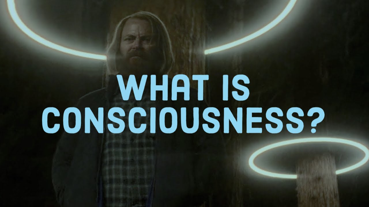What is Consciousness? (2020 Rerun)