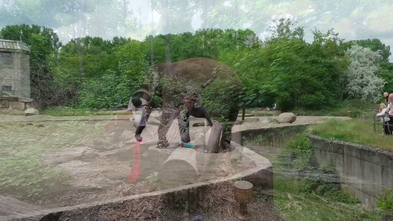 #02 Tanz der Elefant