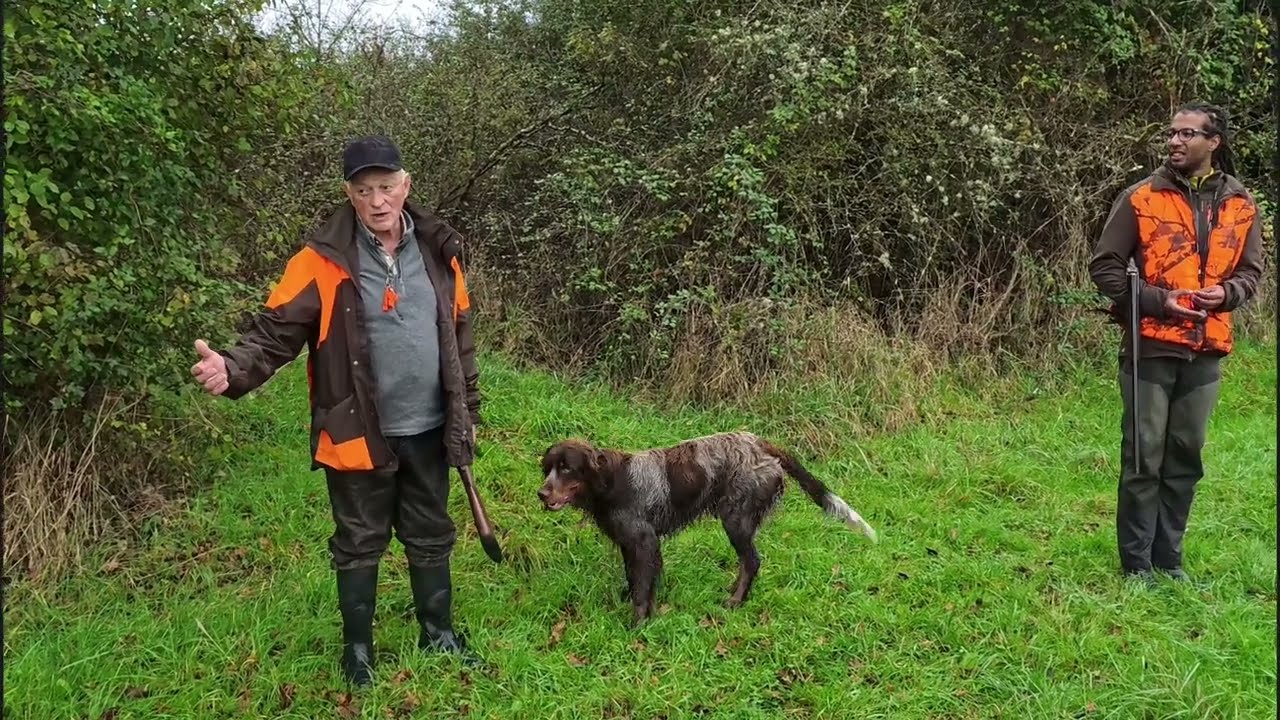 Chasse en Sologne aux petit gibier