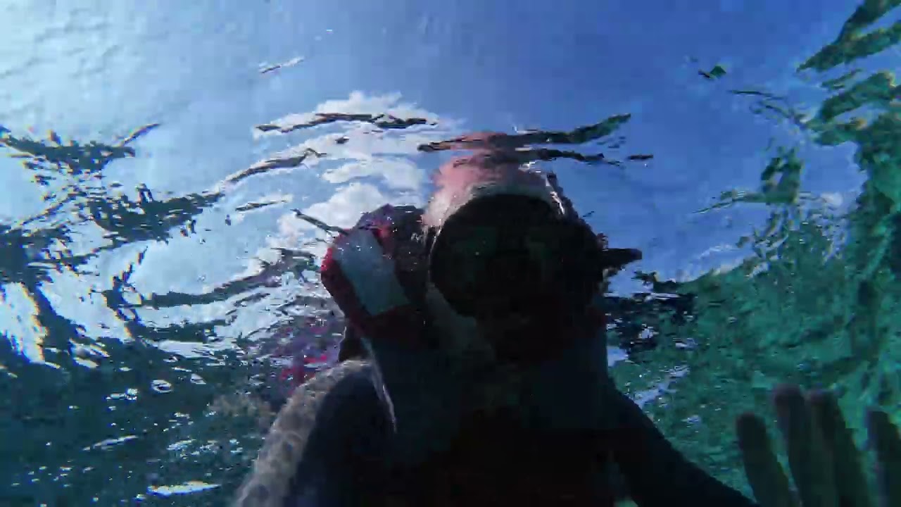 Excursión Snorkel 3 - Maldivas - 16/1/26 - Oblu Select Sangeli