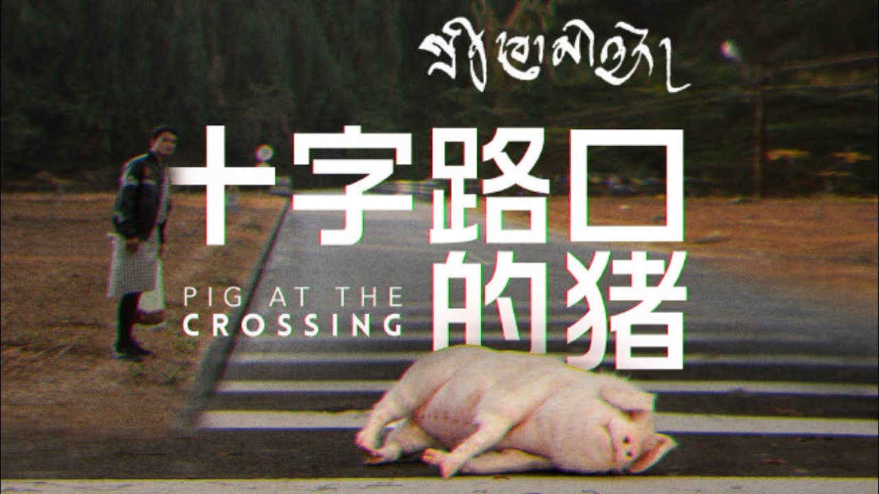 我們都是十字路口的豬