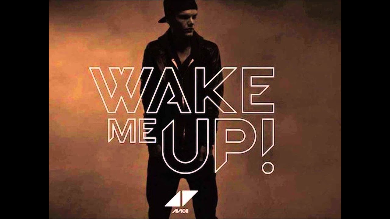 Avicii - Wake Me Up ( Hardwell remix at Tomorrowland 2013 )