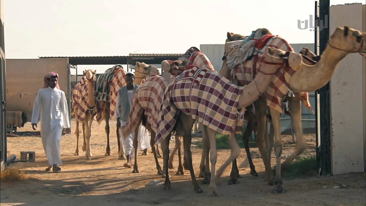 أخبار الريس - الحلقة الرابعة - 15-08-2015