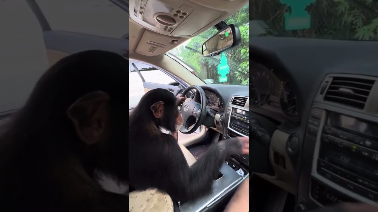 Me when driving