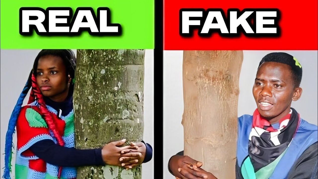 Tree-Hugging Trend Goes Too Far in Kenya...
