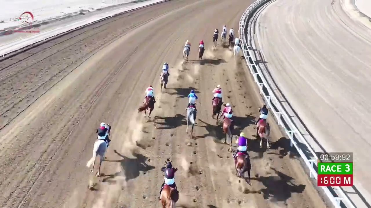 Race 3 - 13th Meeting - Rahba - 23/01/2026