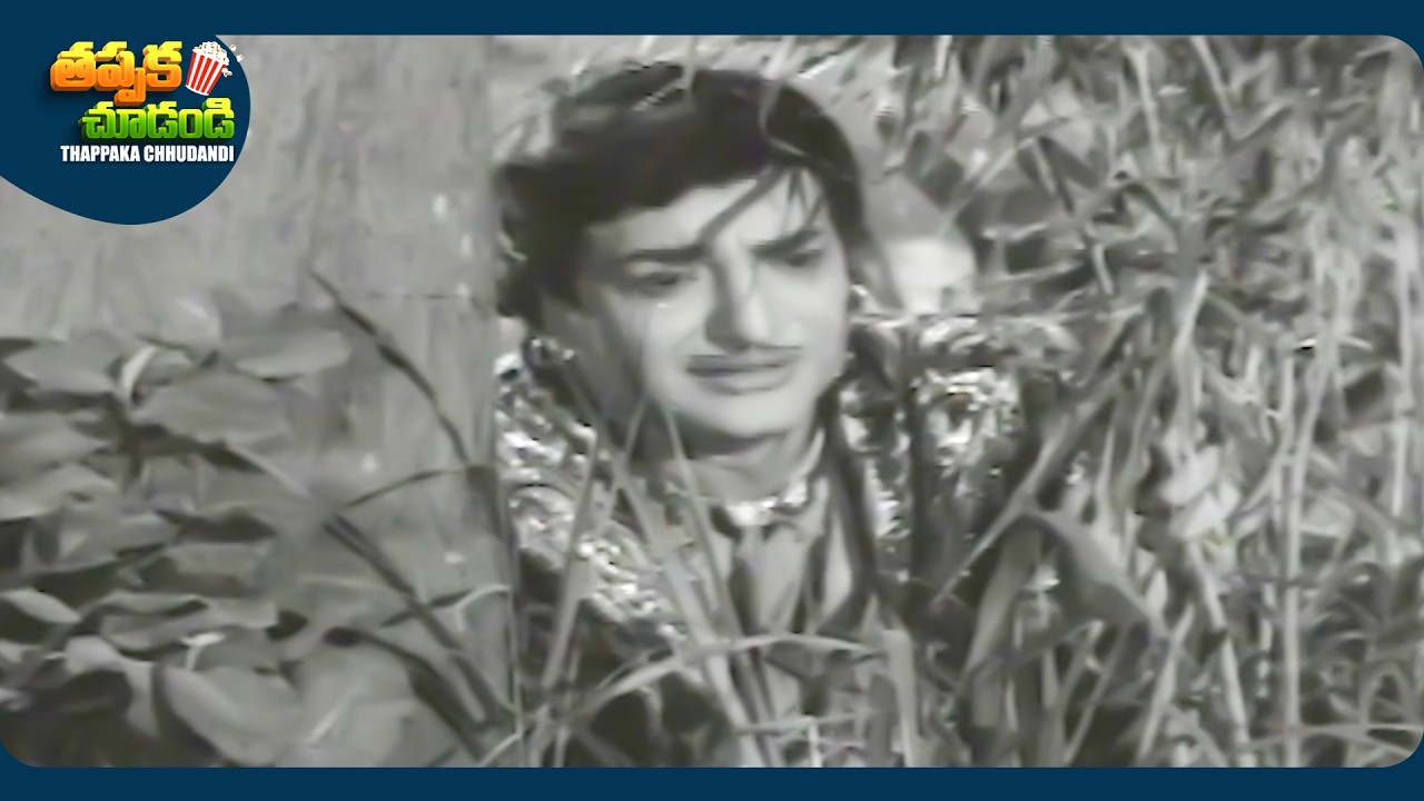 Rajasree And N T Rama Rao Telugu SuperHit Movie Scene | @ThappakaChudandi9