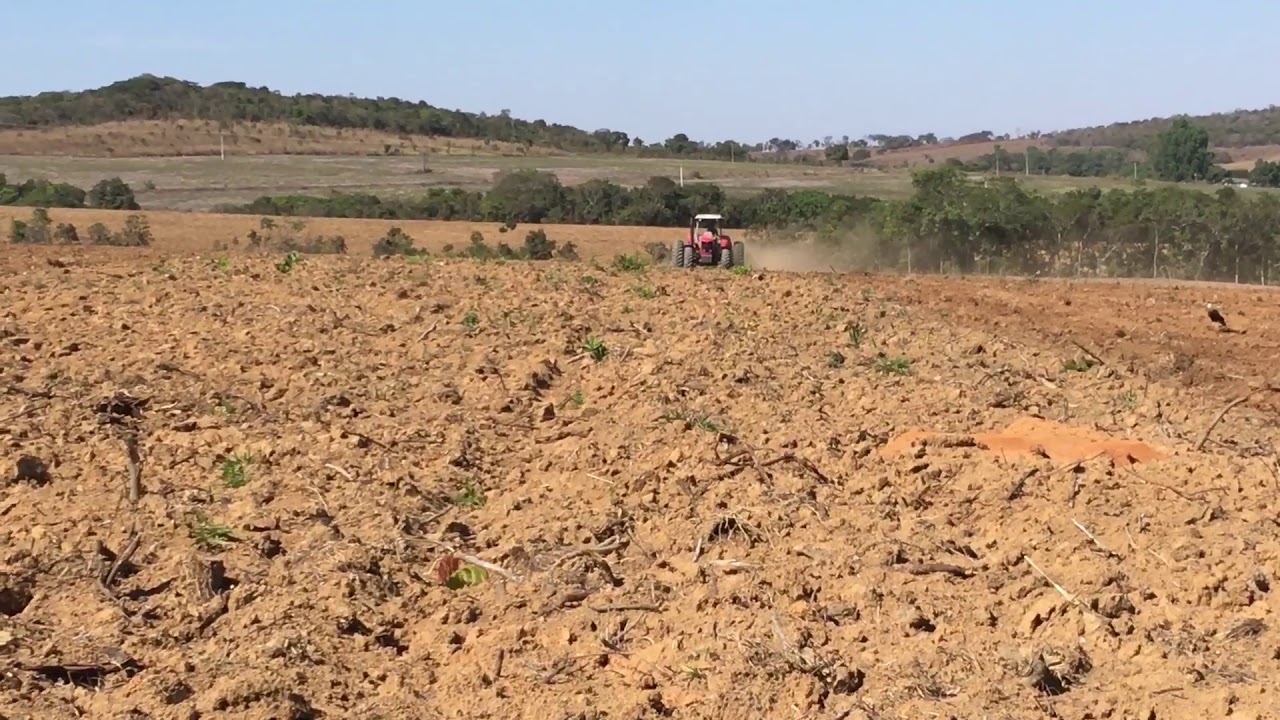 MF 7180 na grade 14x36.