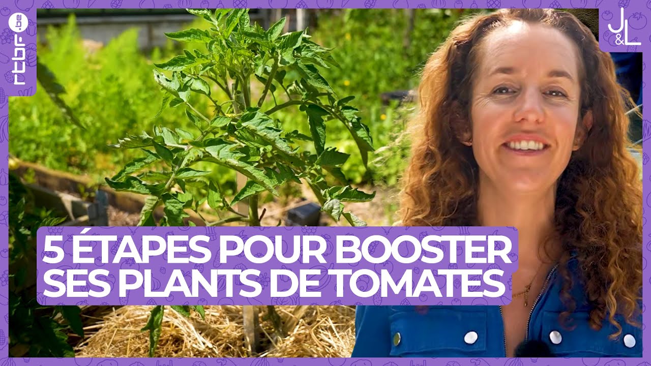 Booster ses plants de tomates au potager en 5 étapes | Jardins et Loisirs