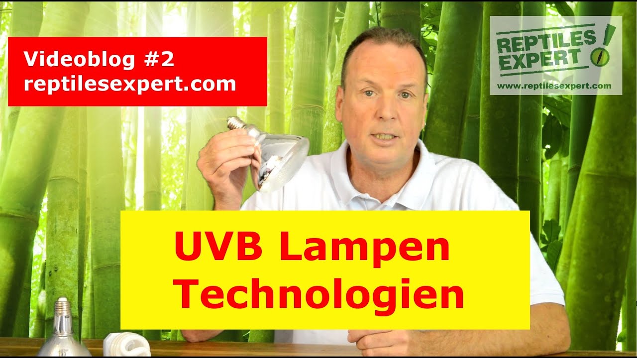 UVB Lampen Technologien für Reptilien in Terrarien