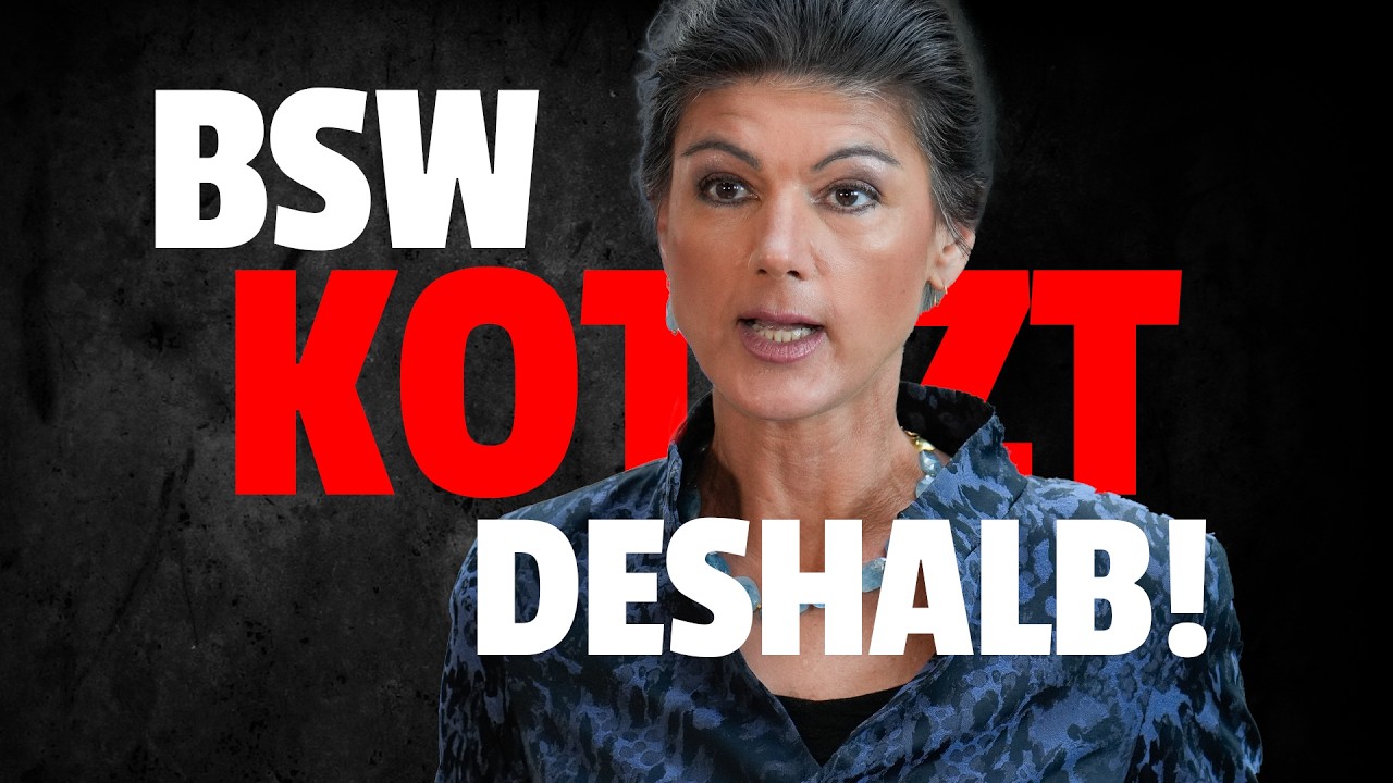 💥Linke UND AfD arbeiten ZUSAMMEN: BSW rastet aus!!