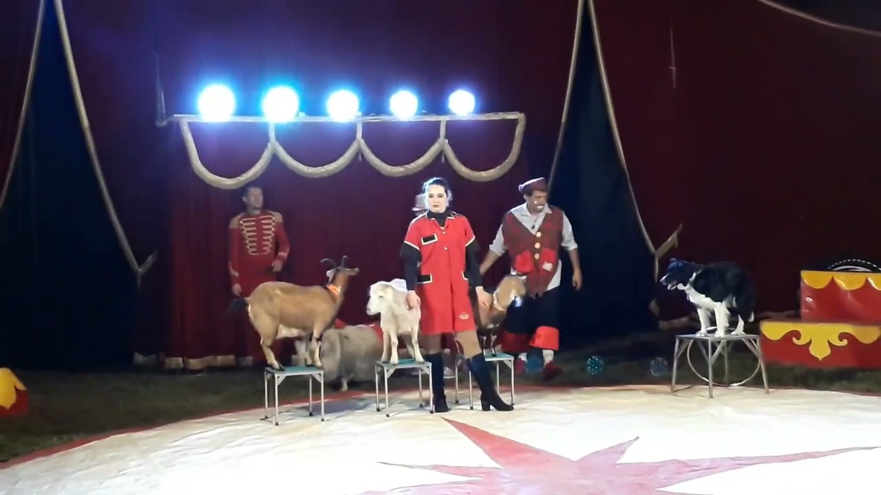 Circo Braum a Casamarciano, 5 febbraio 2022