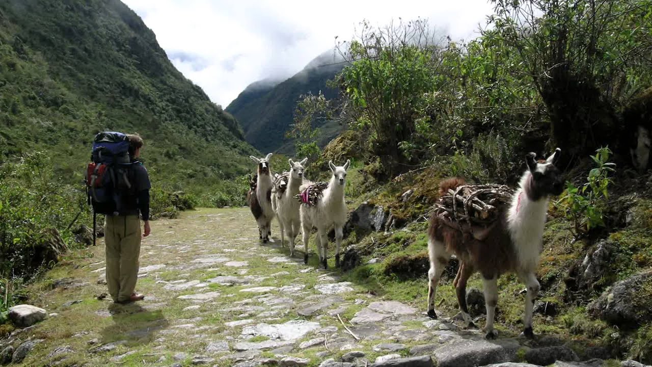 Global Seminar: Democracy & Development in Bolivia: Course & Project