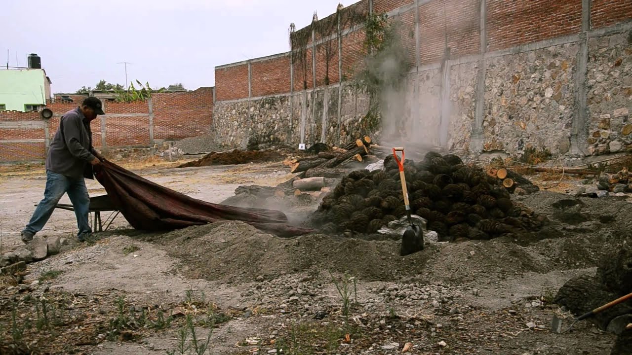 Proceso de elaboración del Mezcal. Mezcal Valle Oaxaca