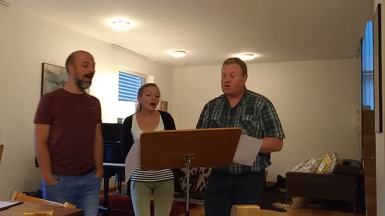 Du sagst ja (Danny Plett)