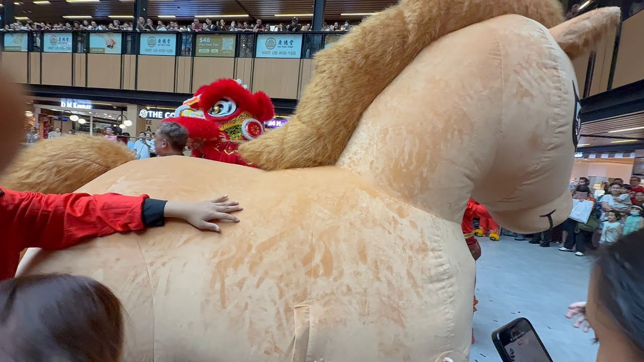 #liondance