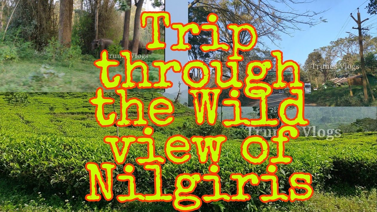 Trip To Nilgiris |Nadugani&raquo;&raquo;Dewala&raquo;Panthalloor &raquo;&raquo;Thoppakkad