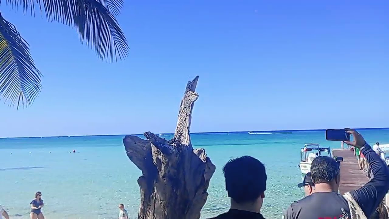 Cozumel, Mexico 🇲🇽