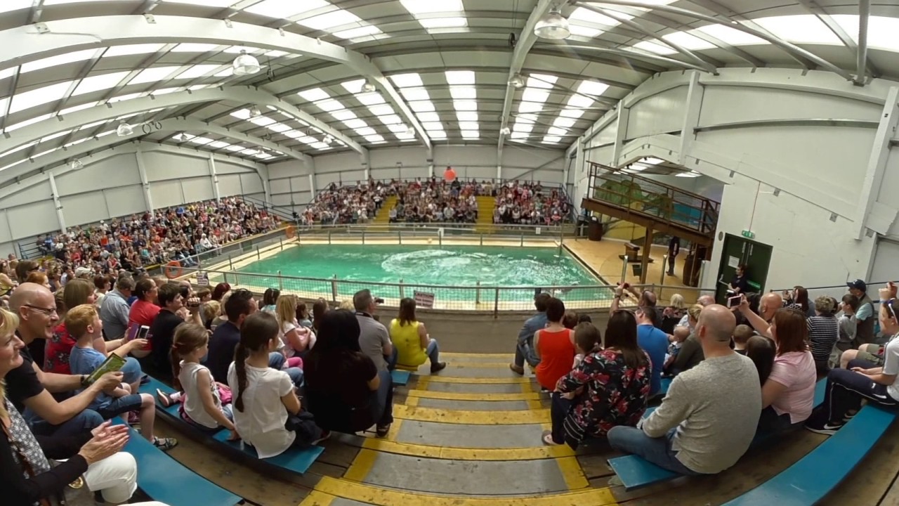 Blair Drummond Safari Zoo 360 video
