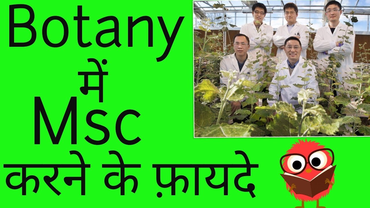 Botany me msc karne ke fayde,jobs after msc in botany,msc botany career in hindi, knowledge adda